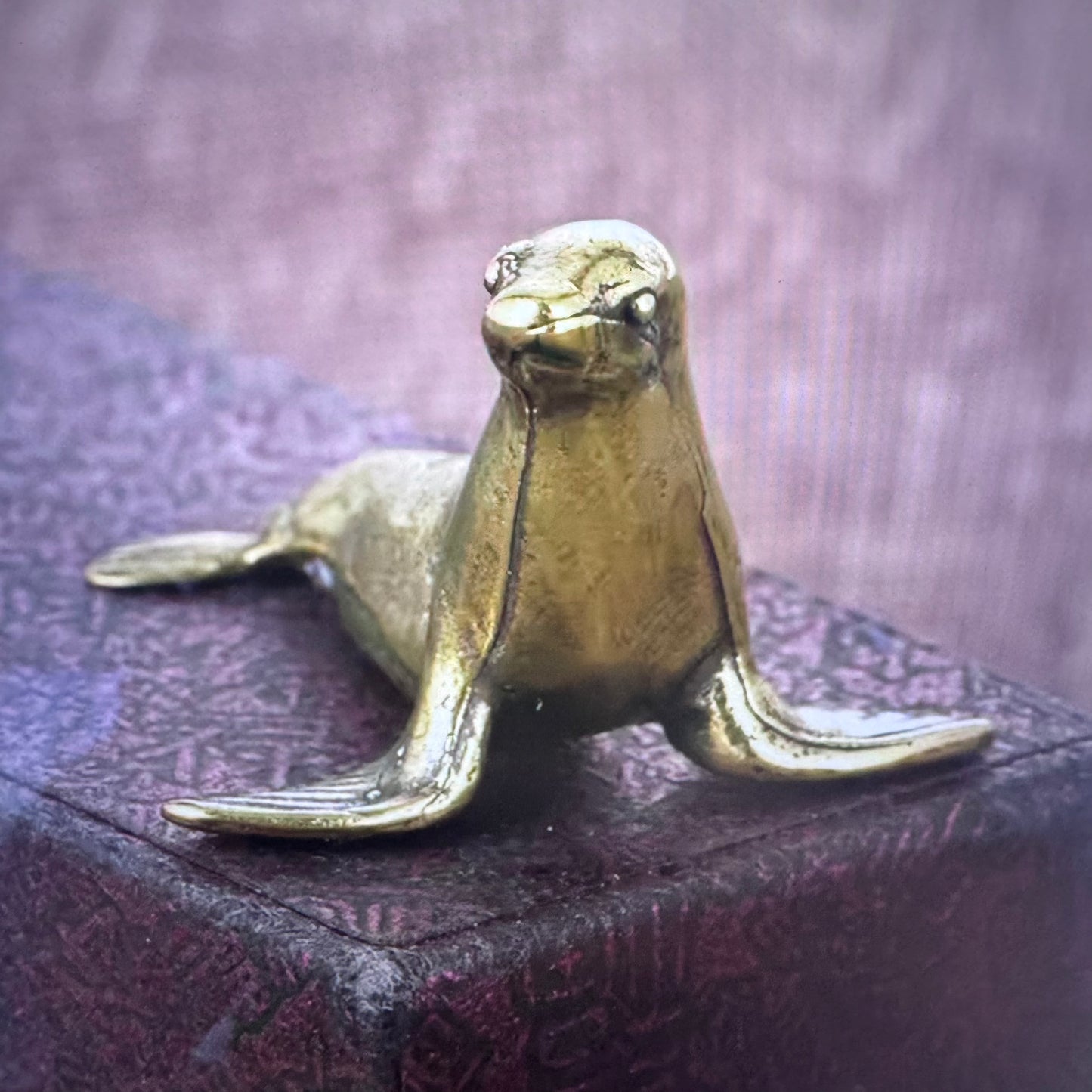 Seal Protector